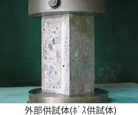 外部供試体(ﾎﾞｽ供試体)